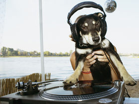 10 DJing controllers that defy convention