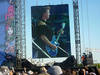 Them Crooked Vultures
