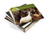 The Beach Boys - Pet Sounds 1966