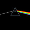 Pink Floyd - The Dark Side Of The Moon (1973) blank