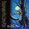 Fear Of The Dark Album, released in 11 May 1992