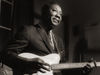 Muddy Waters blank