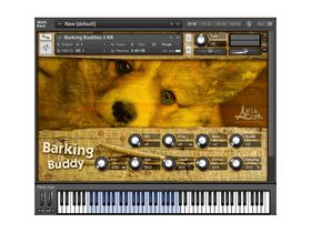 10 off-the-wall soundware libraries