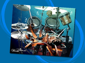 The most outrageous drum kits on the internet