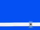 Queens Of The Stone Age: Rated R (Rx reissue) review