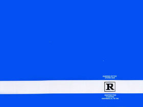 Queens Of The Stone Age: Rated R (Rx reissue) review
