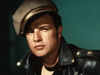 Marlon Brando: The Wild One