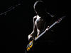 Flea in Austria, caught in the shadows, 2006