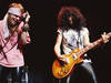 Welcome To The Jungle ((Joe Giron/Corbis))