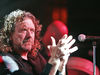 Plant clapping forebodingly in Rosenberg, 2005