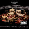Limp Bizkit - Chocolate Starfish And The Hot Dog Flavored Water