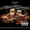 Limp Bizkit - Chocolate Starfish And The Hot Dog Flavored Water Comfortably the worst album title in history, the cover makes us sick in our mouths