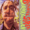 Butthole Surfers - Hairway To Steven OK, you idiots call yourself The Butthole Surfers? At least have an alluring album cover? Fail