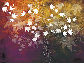 Joe Satriani's Black Swans And Wormhole Wizards