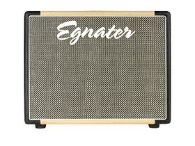 Amp buying guide: best small gig amps