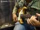 Summer NAMM 2010: Line 6 James Tyler Variax demo