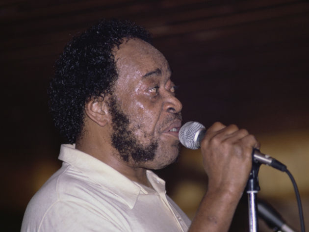 James Cotton