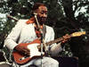 Muddy Waters ((Derick A. Thomas; Dat's Jazz/CORBIS))