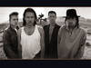 The Joshua Tree