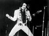 Quite literally the bass talent behind Elvis