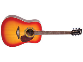 Over £8,000 worth of Vintage Guitars to be won