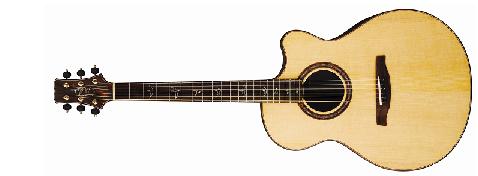 http://cdn.mos.musicradar.com/images/legacy/totalguitar/PRS_Angelus.jpg