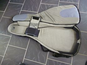 Mono M80 guitar case review