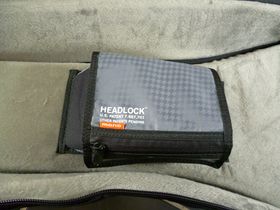 Mono M80 guitar case review