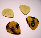 Red Bear picks
