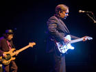 What strings do you use, Chris Difford?
