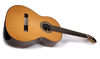 Classical gas with this fantastic-value acoustic