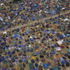 Five sets you must see at Glasto 2010 Our pick of the iconic fest's line-up