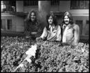 Double encore for Bonzo tribute