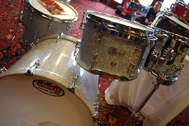 Animal Custom Drums