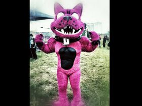 Download festival 2013 in pictures