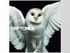 Deftones - Diamond Eyes