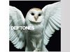 Deftones - Diamond Eyes blank