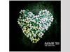 Alkaline Trio - This Addiction blank