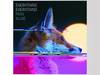 Everything Everything - Man Alive