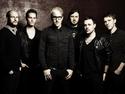 The Blackout team up with Vigier Guitars