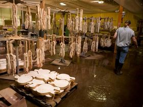 Gallery: Gibson's Nashville Factory after the flood