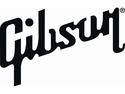 Gibson raids: The full press statement