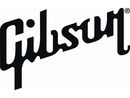 Gibson raids: The full press statement