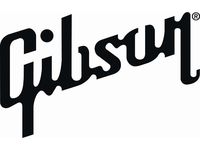 Gibson raids: The full press statement