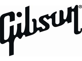 Gibson raids: The full press statement
