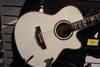 LTD XTone electro acoustics