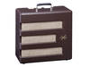 Fender Pawn Shop Special Excelsior