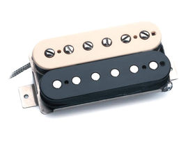 TG203 Audio: Seymour Duncan Alnico II Pro Slash signature pickups