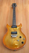 The guitar