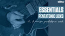 Essentials Lesson: Pentatonic Licks (TG213)